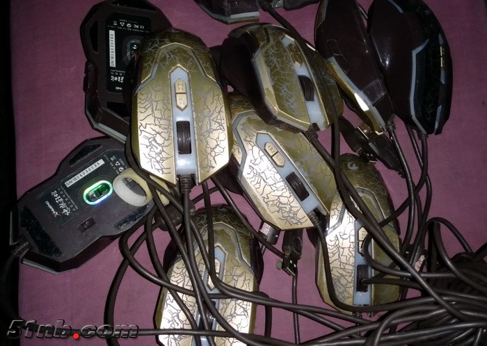 mouse.jpg