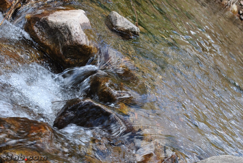 DSC_0040.JPG