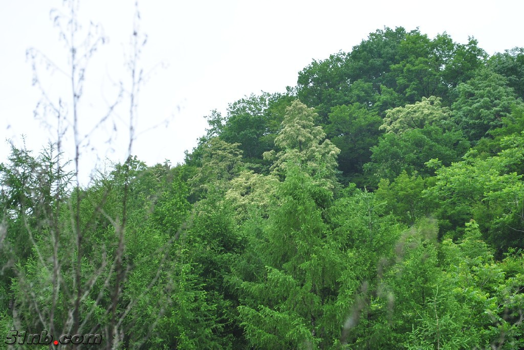 DSC_0040.JPG