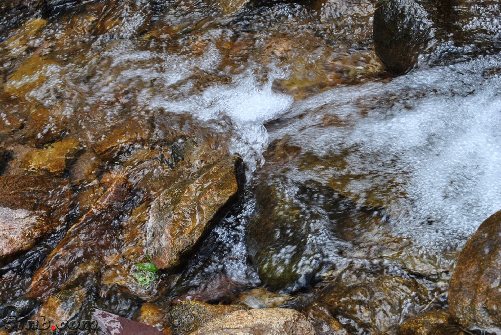 DSC_0041.JPG