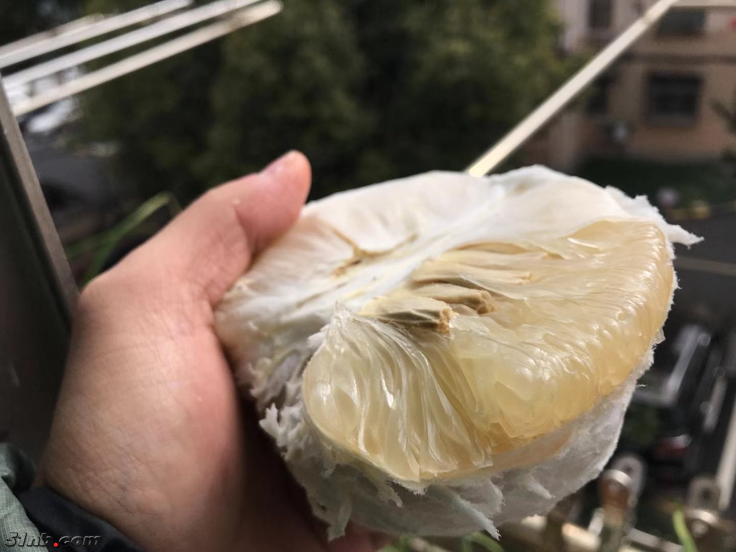 微信图片_201812251127222.jpg