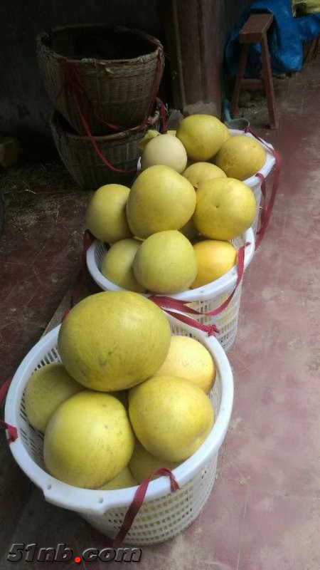 微信图片_20181223145729.jpg