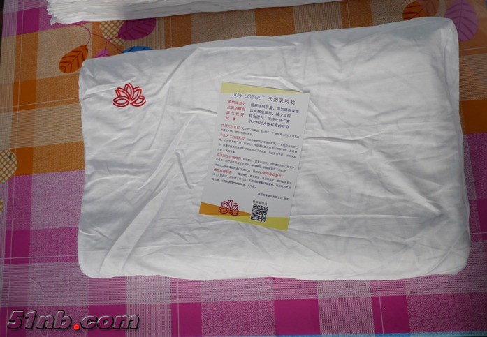 P1040687-2.JPG