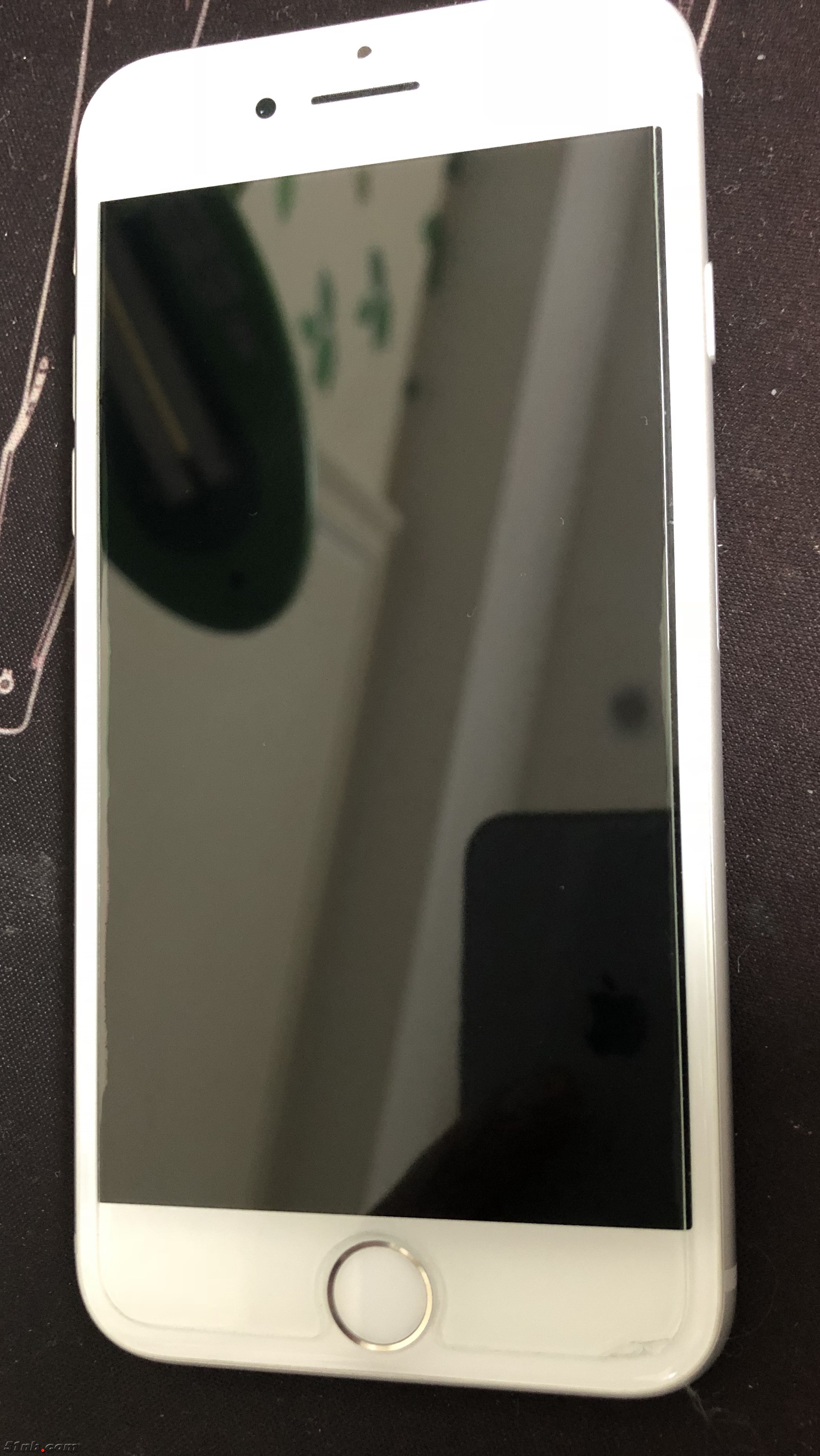 20190118_120246083_iOS.jpg
