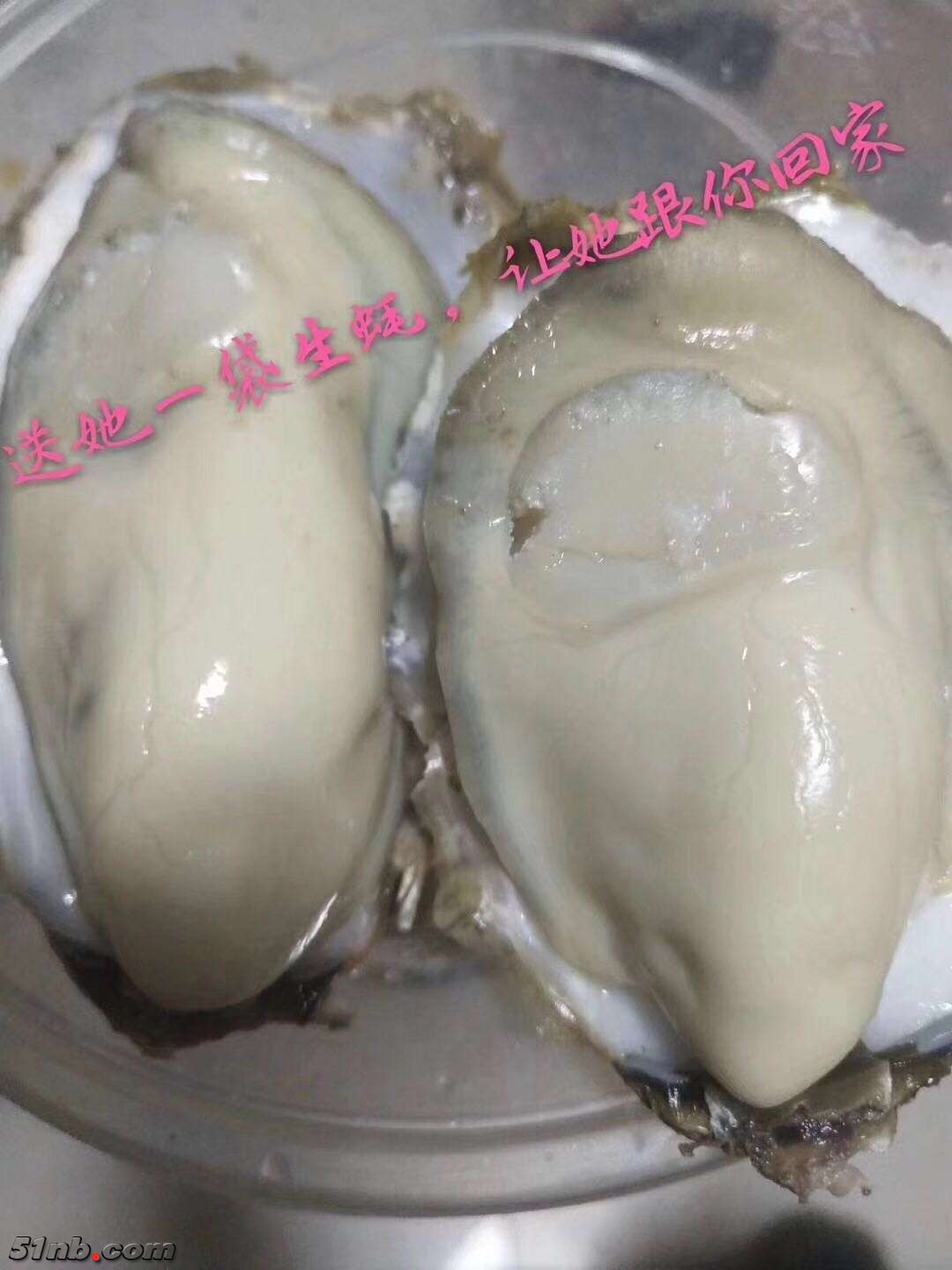 微信图片_20190121084746.jpg