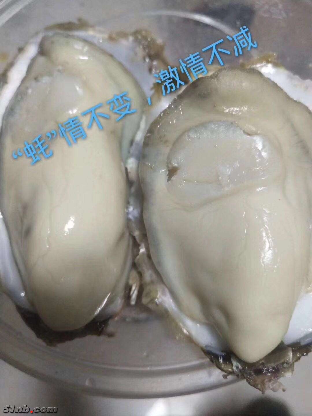 微信图片_20190121084810.jpg