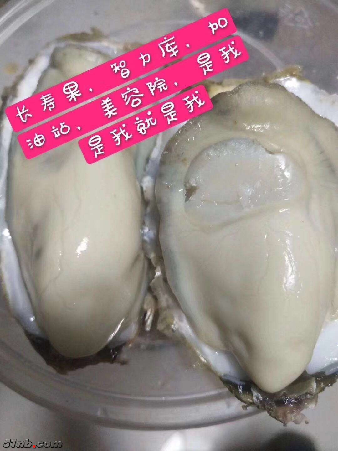 微信图片_20190121084853.jpg