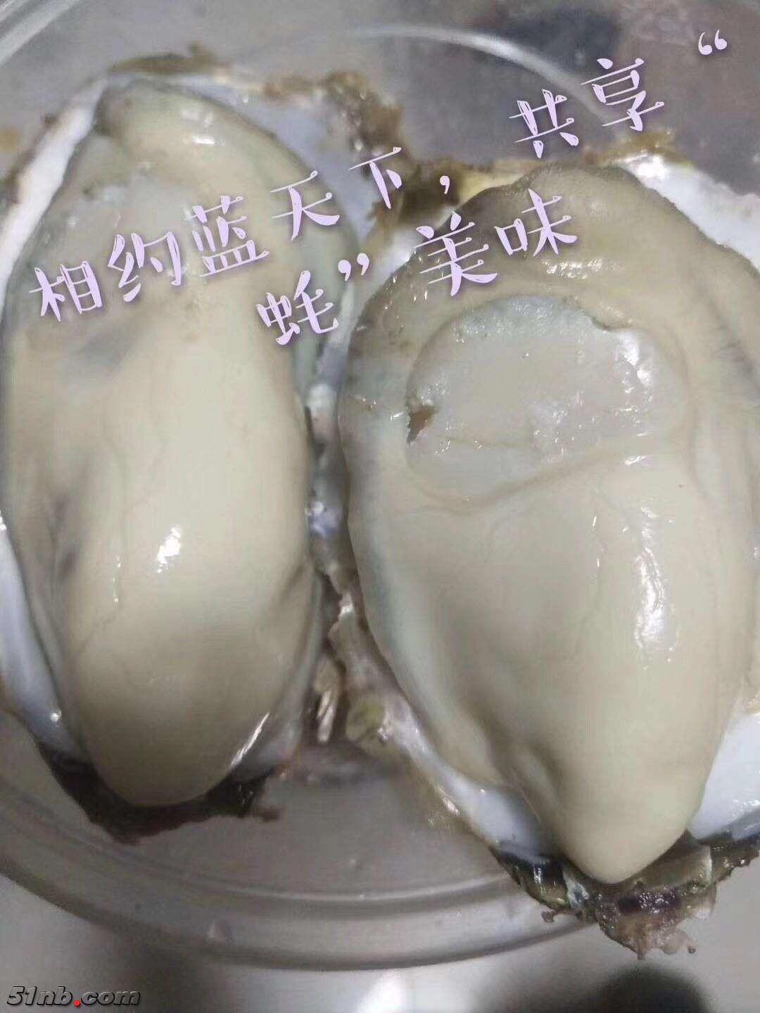 微信图片_20190121084814.jpg