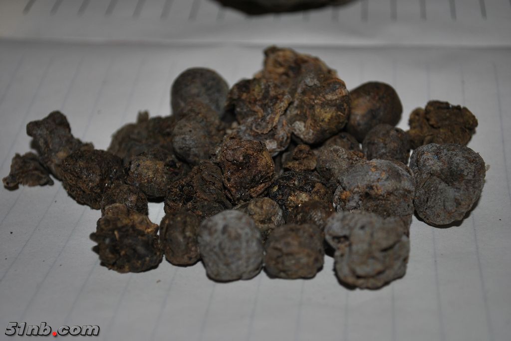 DSC_0024.jpg