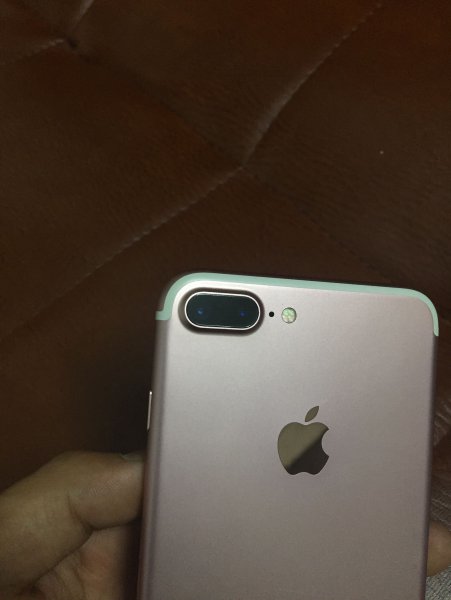 190216190027cd78d070c5c372.jpeg.thumb.jpg