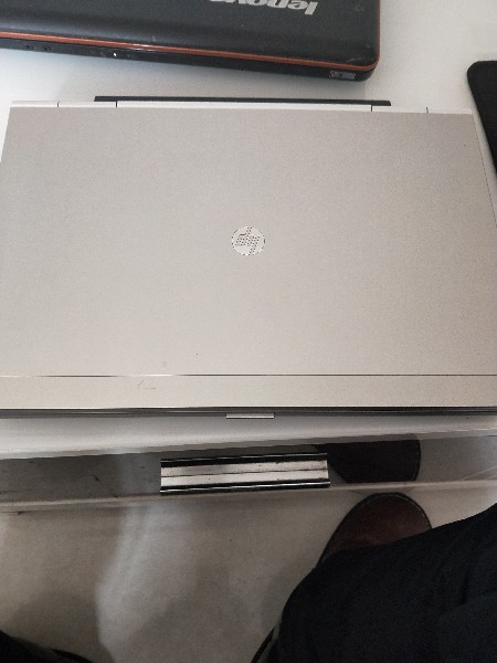 BigBull_IMG20190221100537.jpg