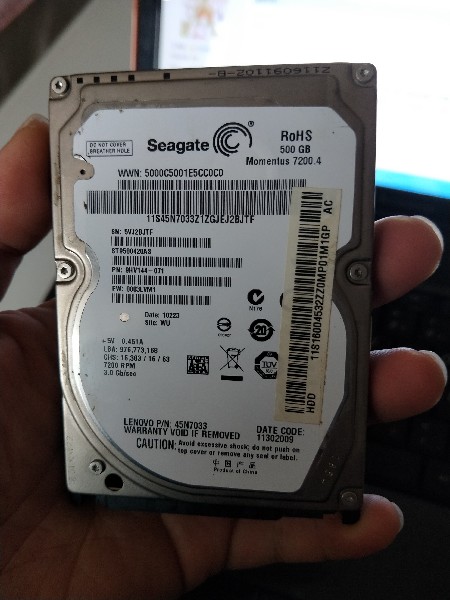 BigBull_IMG20190220145712.jpg