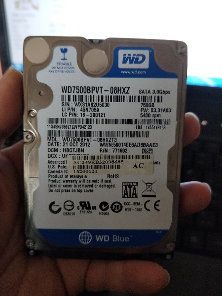 BigBull_IMG20190220145632.jpg