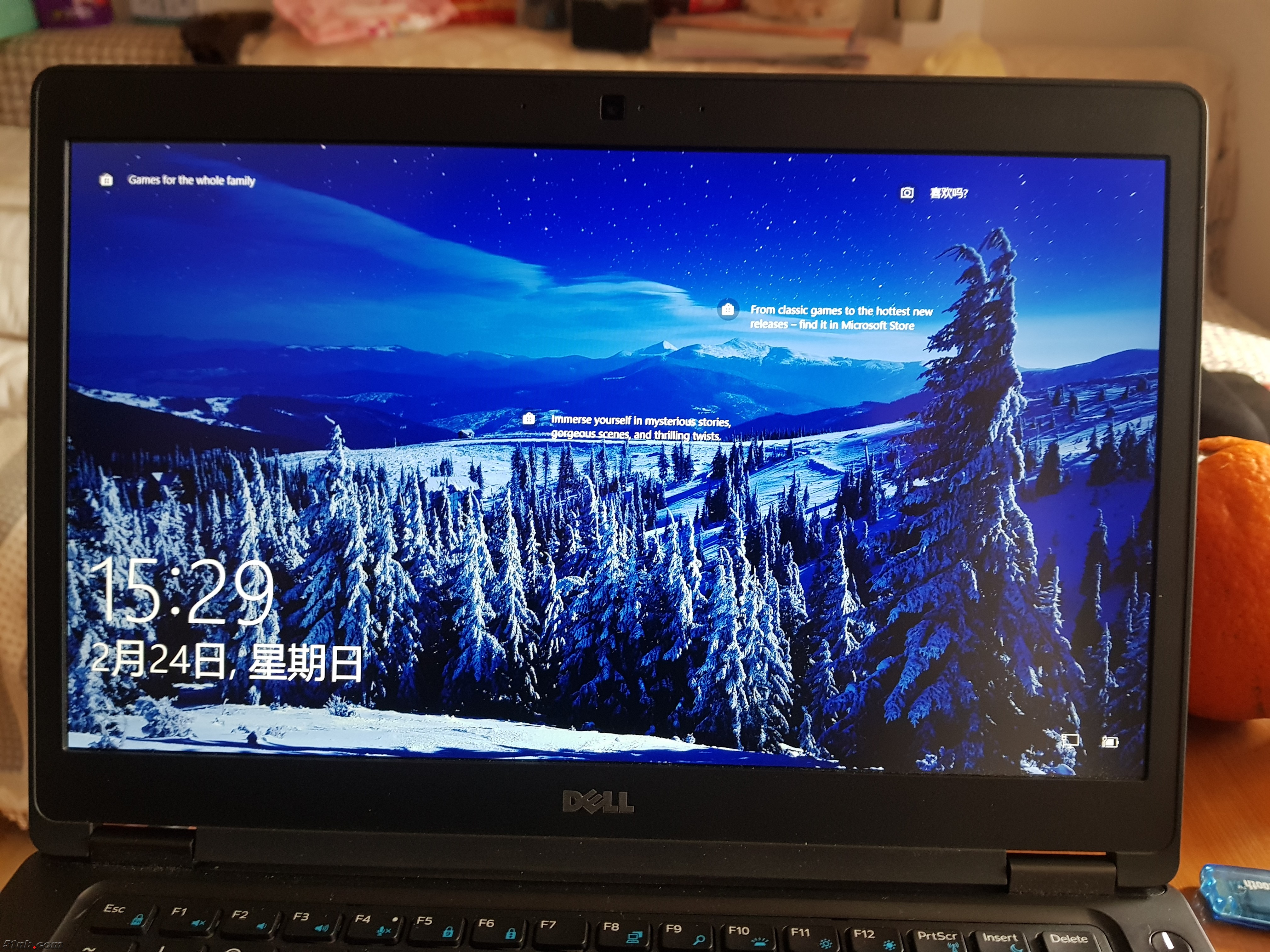 20190224_152817.jpg
