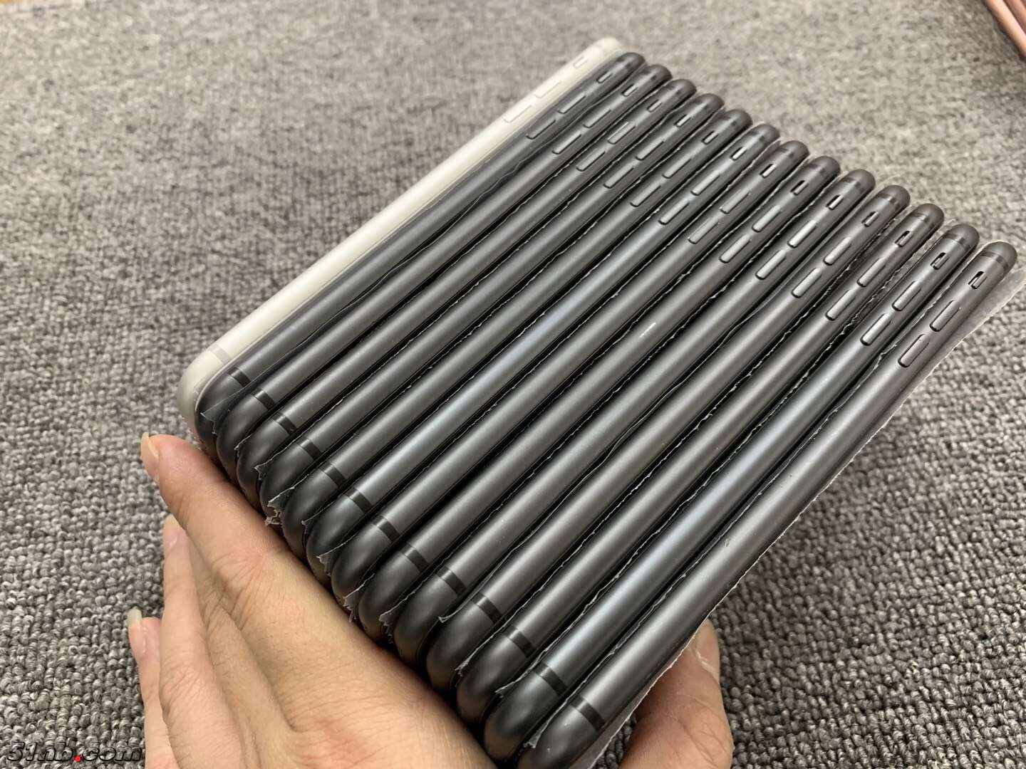 微信图片_20190224170342.jpg