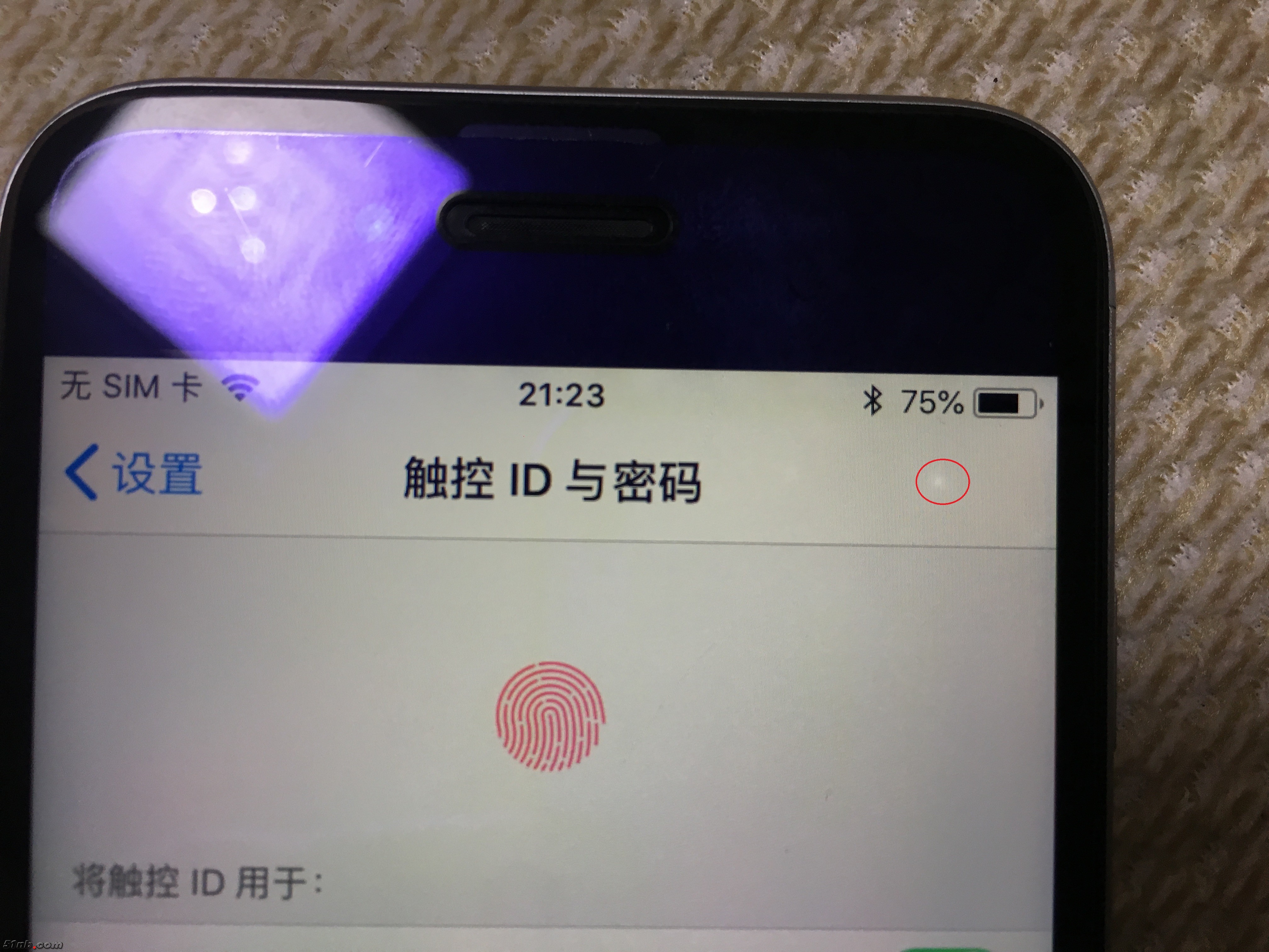 20190305_132305955_iOS.jpg