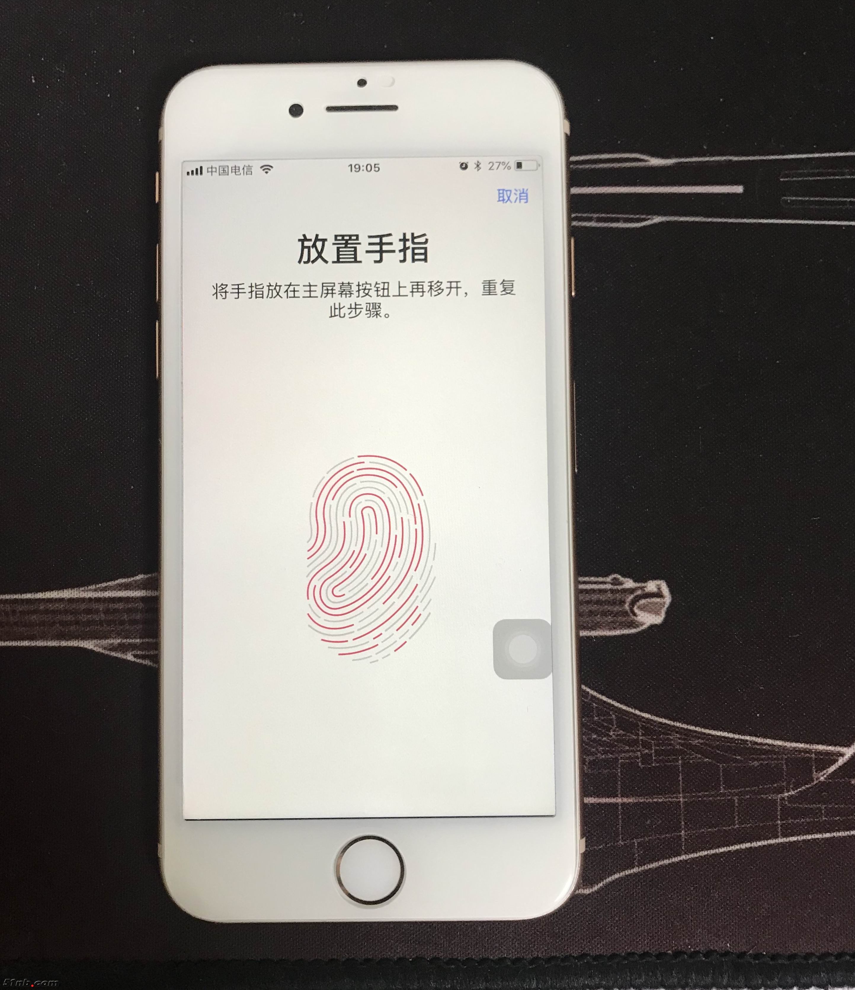 20190328_110557828_iOS.jpg