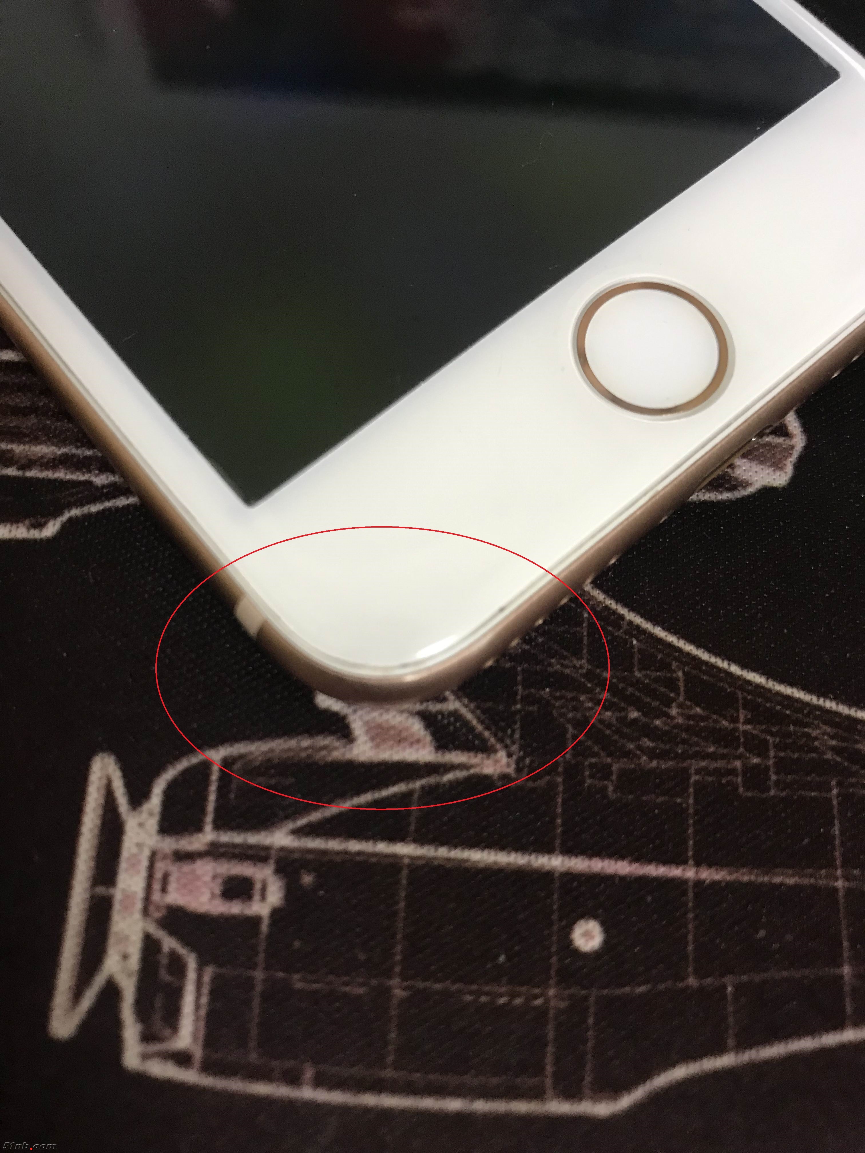 20190328_110635679_iOS.jpg