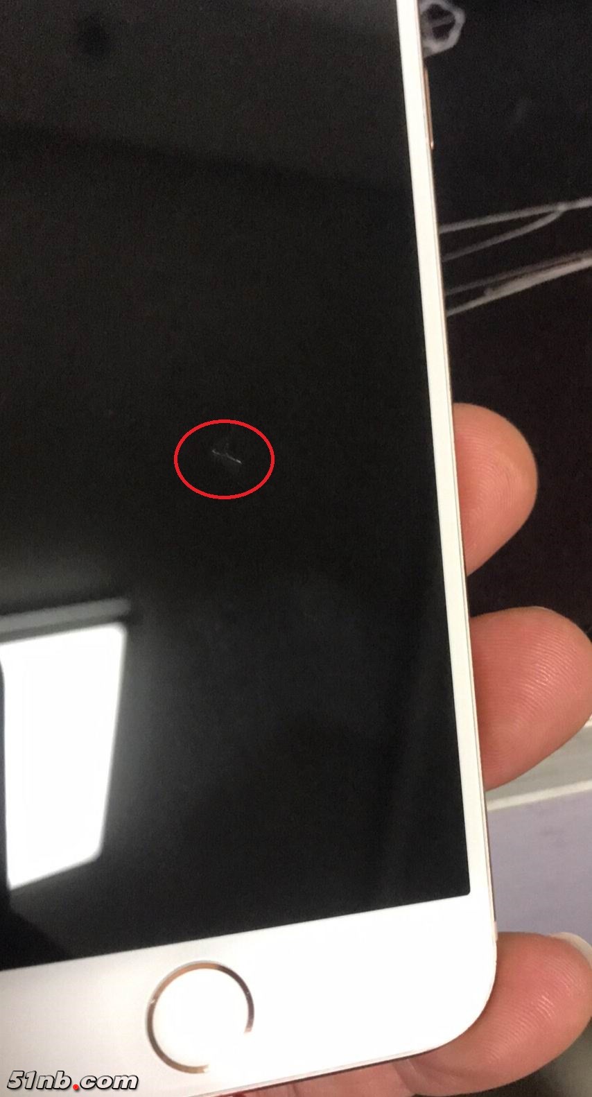20190328_111201405_iOS.jpg