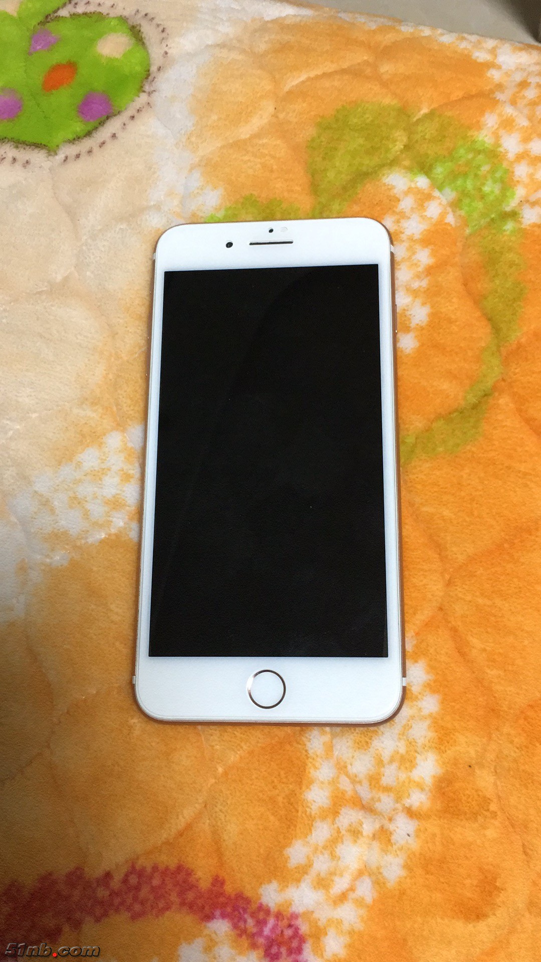 20190315_144357419_iOS.jpg