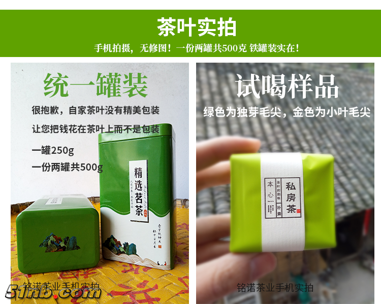 500g套餐-小叶毛尖宝贝详情_02.png