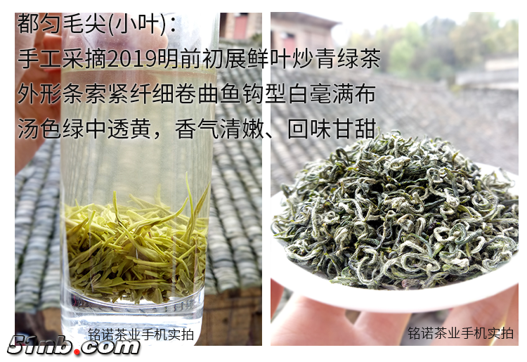 500g套餐-小叶毛尖宝贝详情_03.png