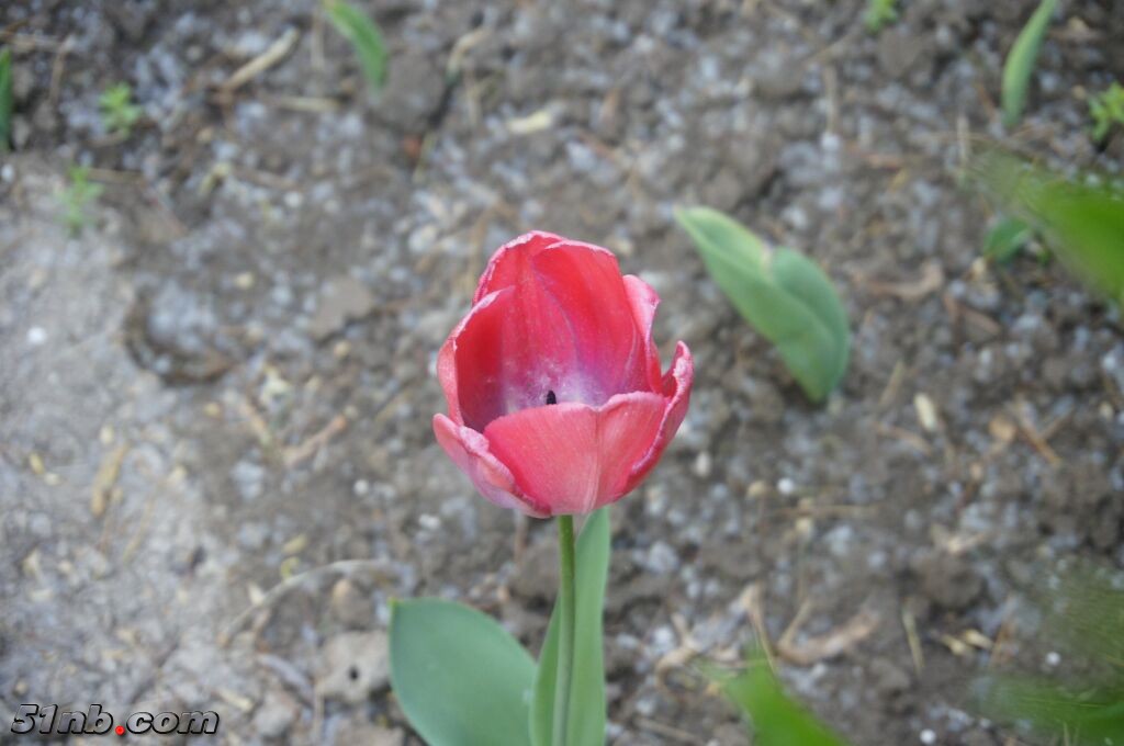 nex3_001.jpg