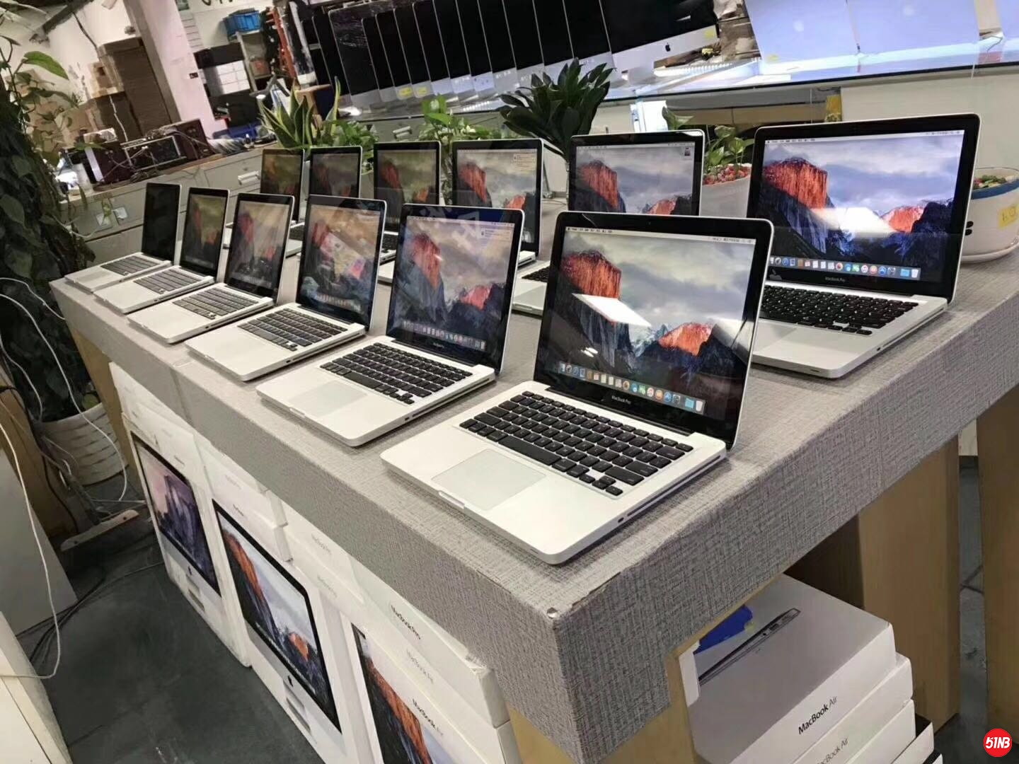 实拍6