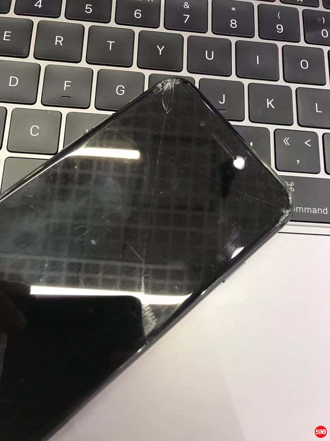 9981566360385_.pic.jpg