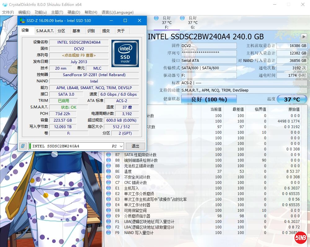 -752b1adf72a2ed29.jpg