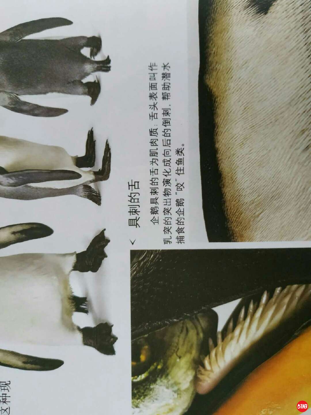 微信图片_20190911121724.jpg