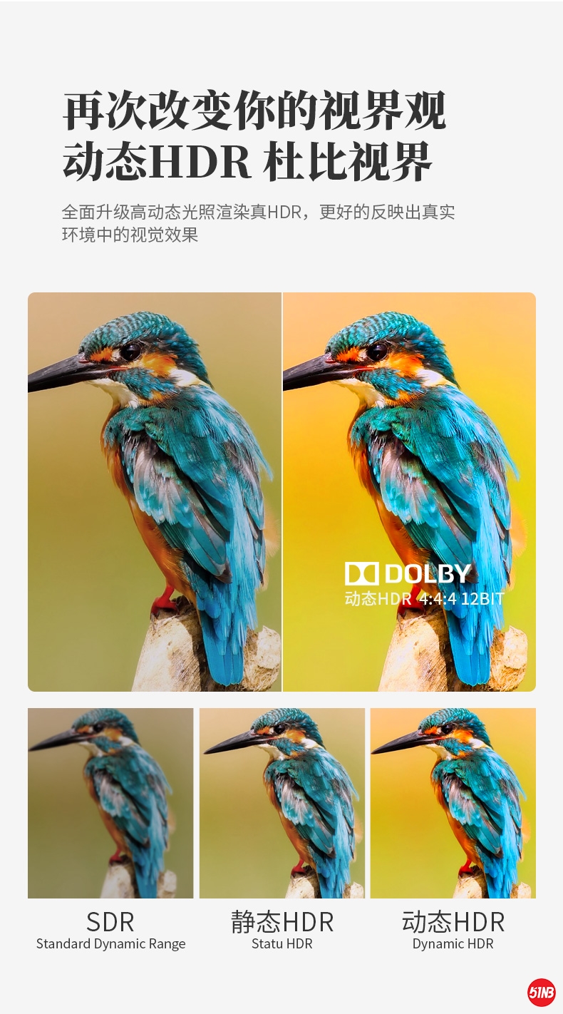 Q系列2.1_10.jpg