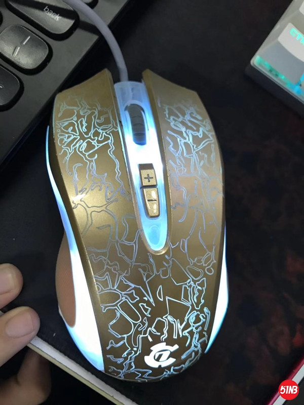 5.jpg