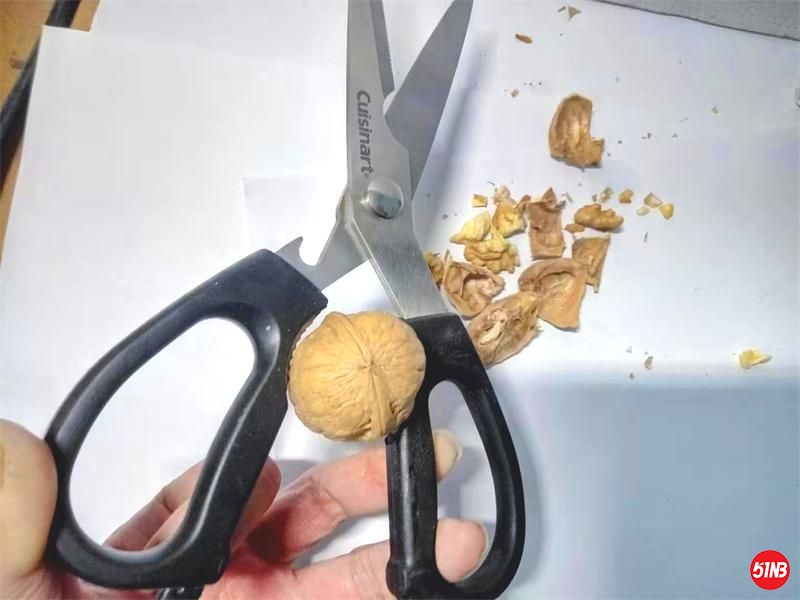 083438zpah3czkgoogg31a.jpg.thumb.jpg