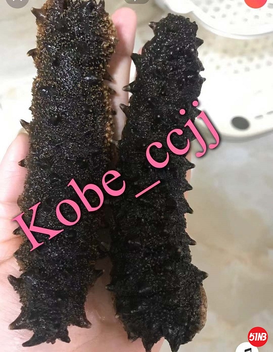 微信图片_20191225210252.jpg
