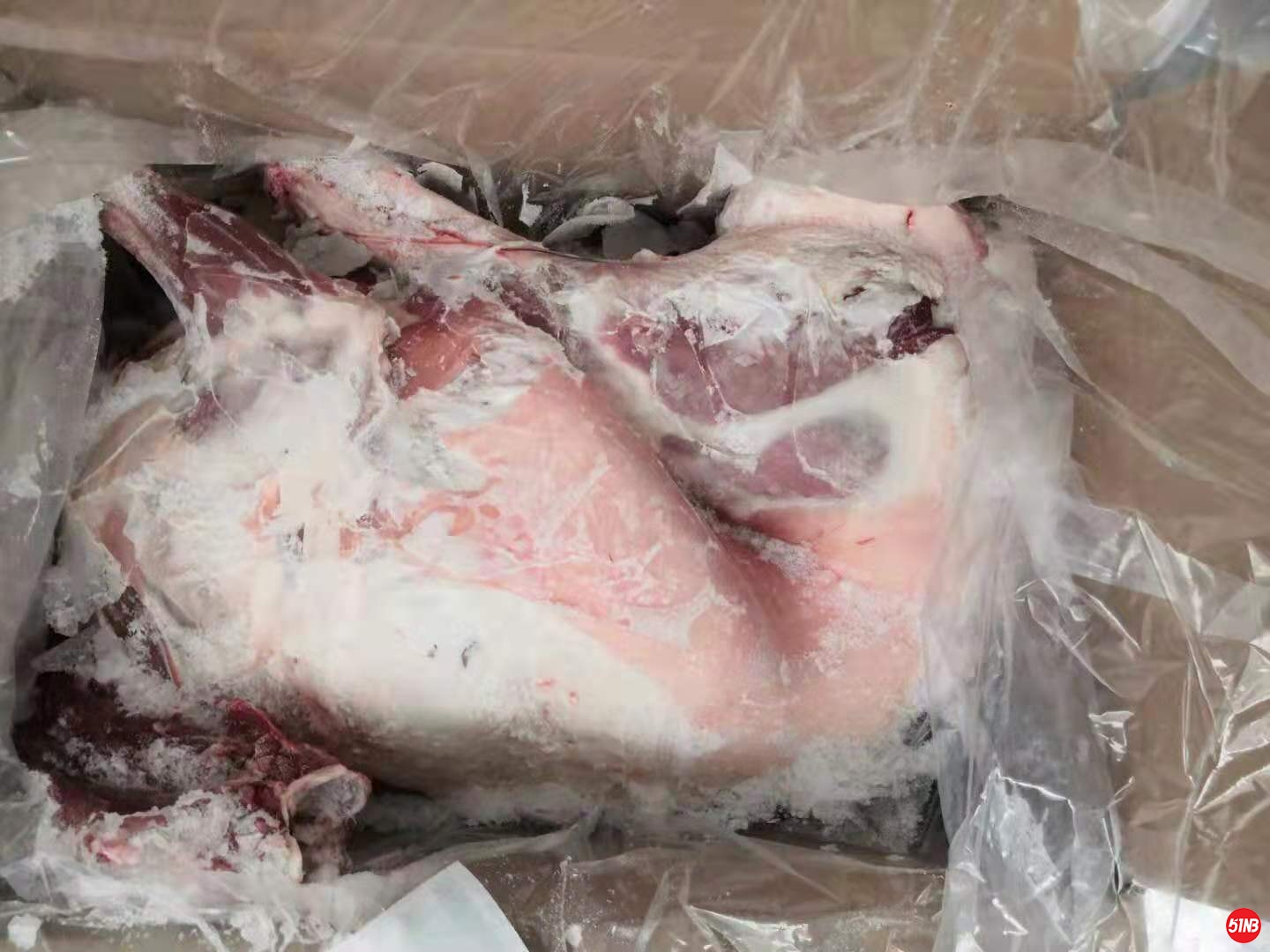 微信图片_20191204205311.jpg
