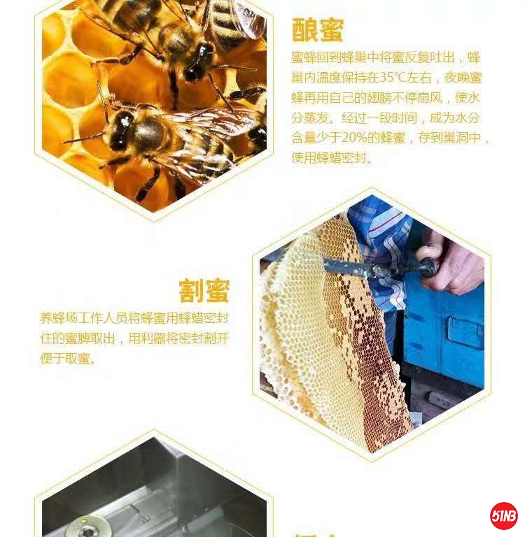 微信图片_20200314102533.jpg