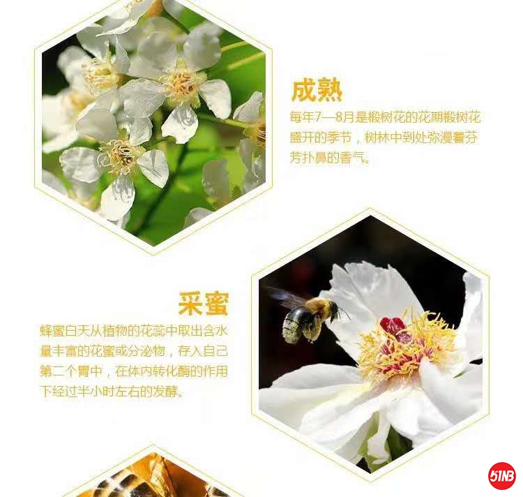 微信图片_20200314102539.jpg