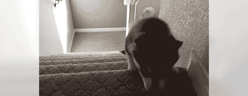 195225vs6h7fsdzf86c4sq.gif