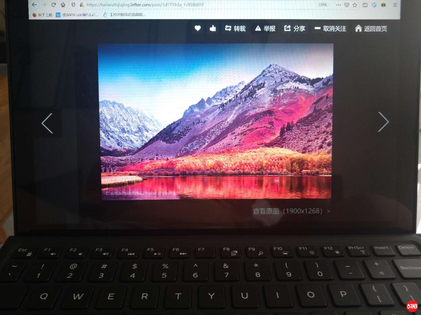 dell5290.pro.3登陆后打开网页看张图.jpg