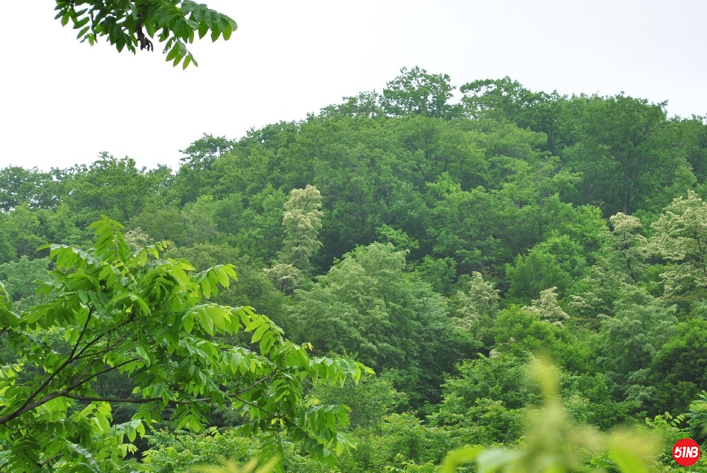 DSC_0050.JPG
