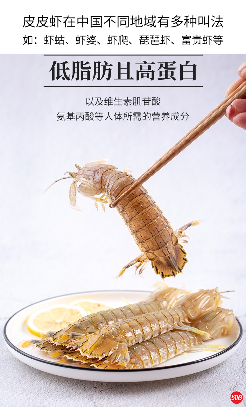 皮皮虾 (39).jpg