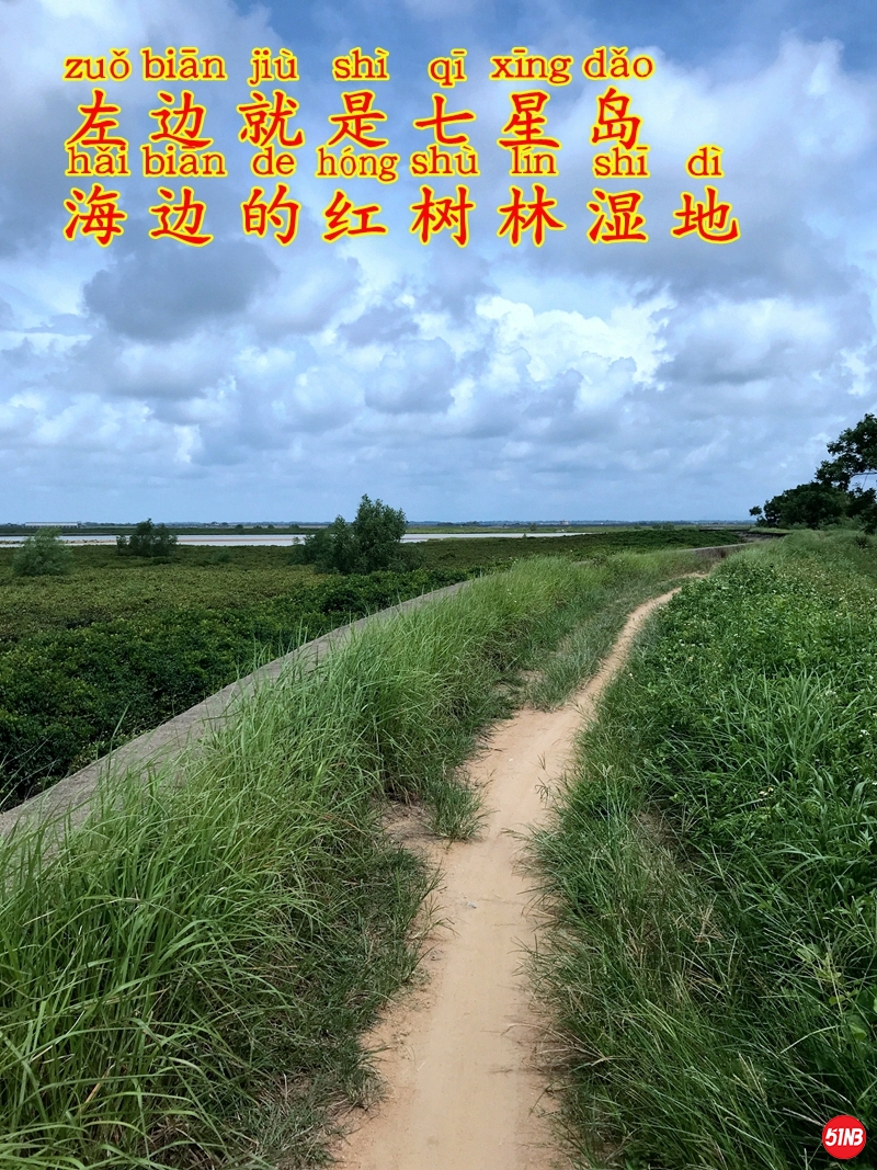 2七星岛环境-2.JPG