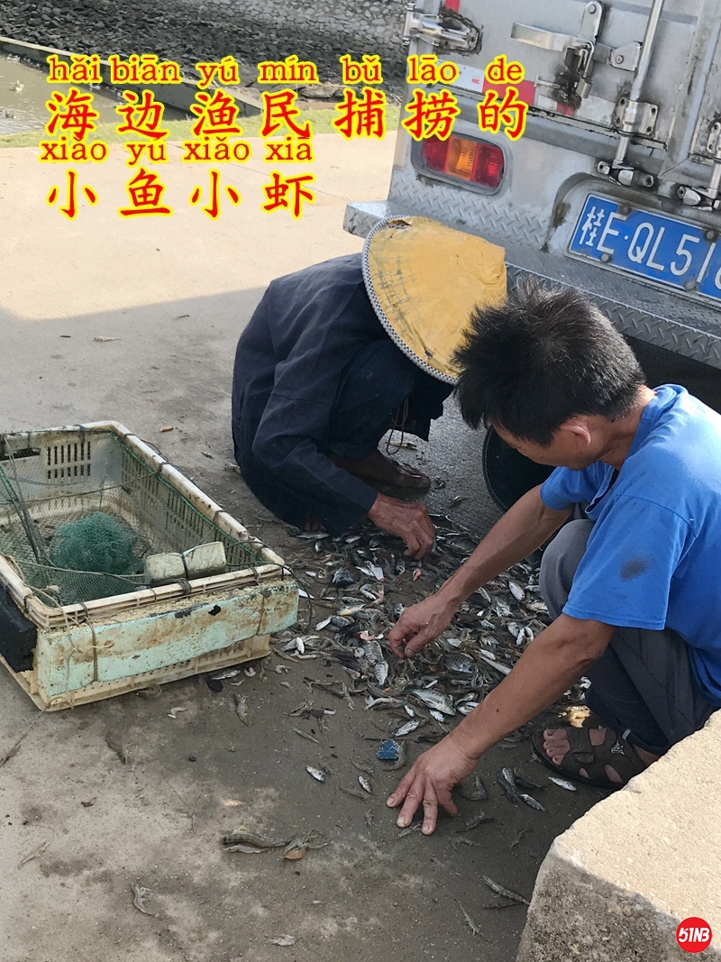 4鸭子食物-1.JPG