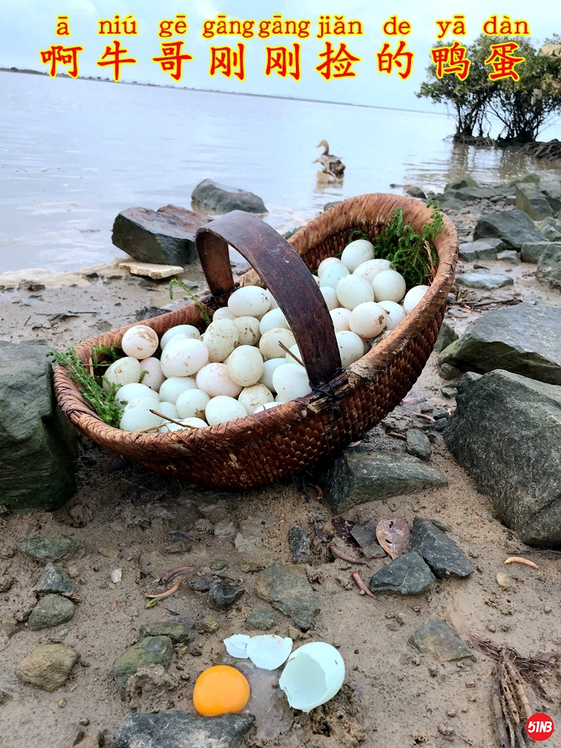 5海边捡蛋-7.JPG
