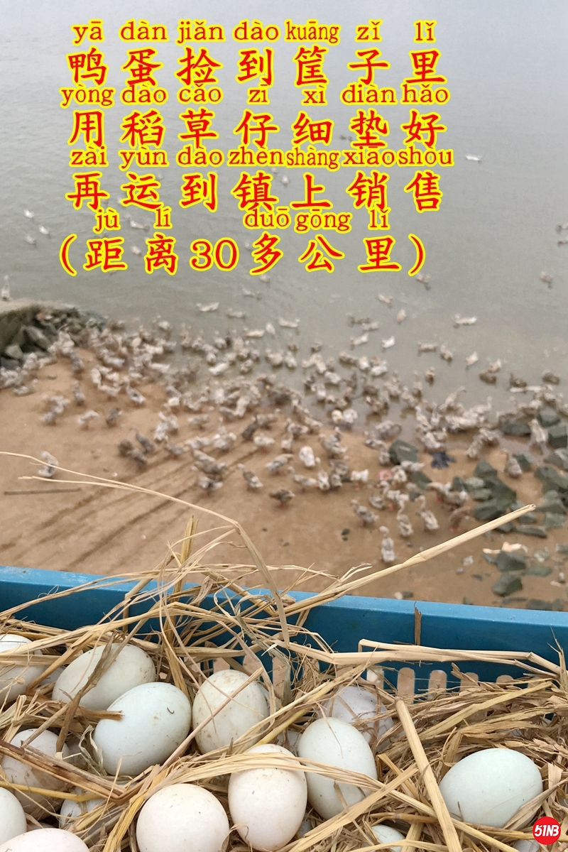 5海边捡蛋-10.JPG