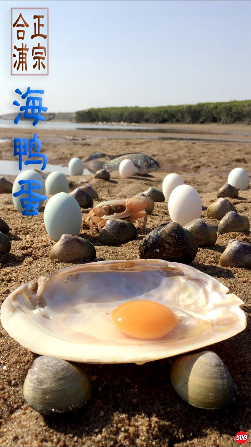 7-鲜蛋展示-3.jpg