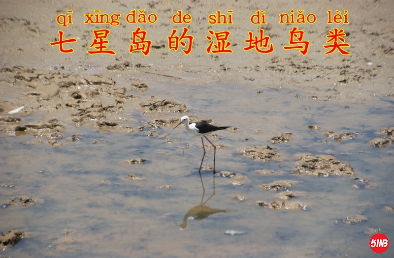 10野外环境- (1).JPG