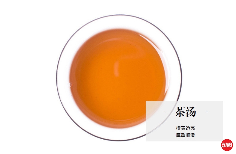 526613C7-983B-4B1A-83BF-47FC101307E4.jpeg