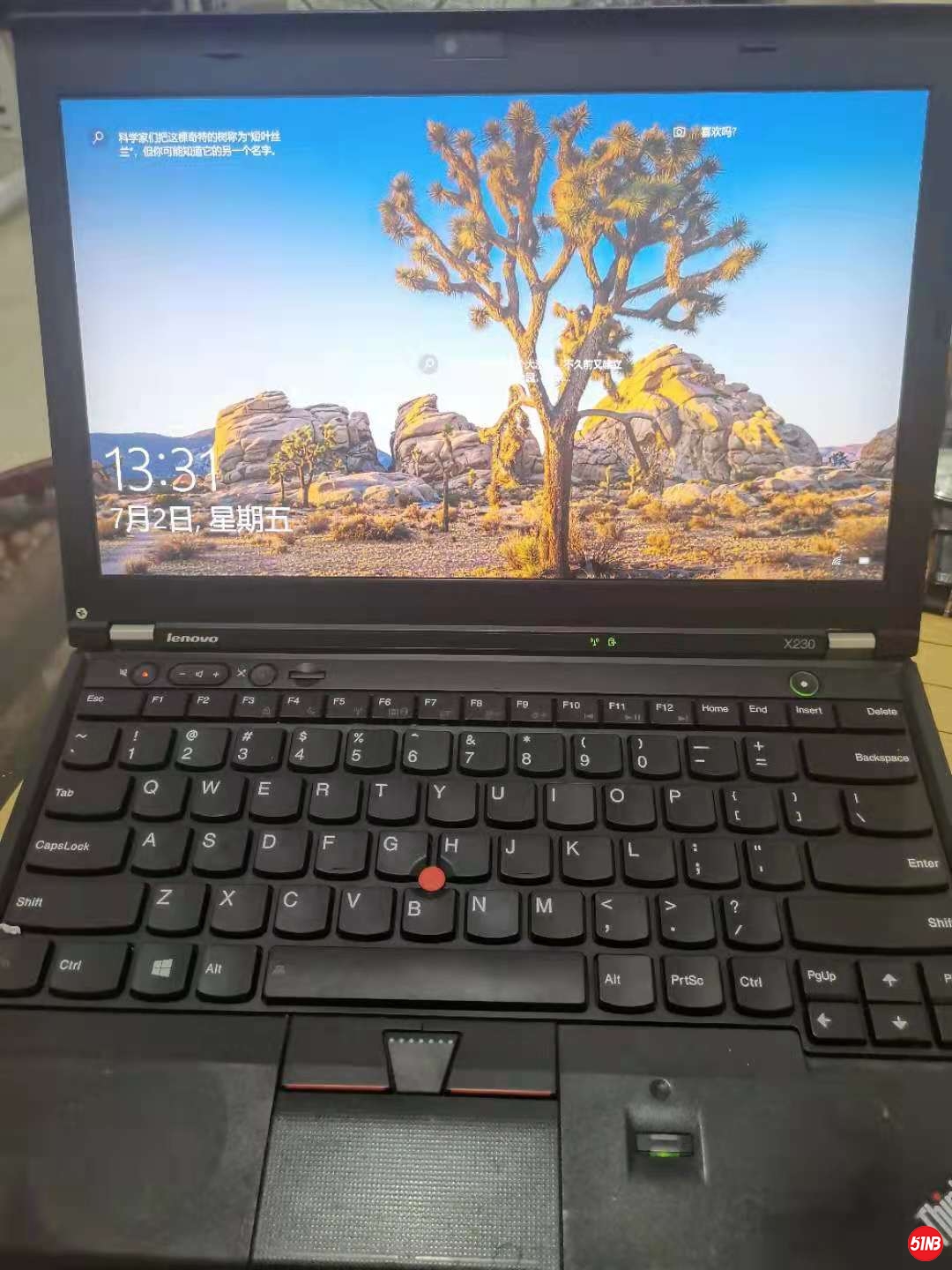 x230.jpg